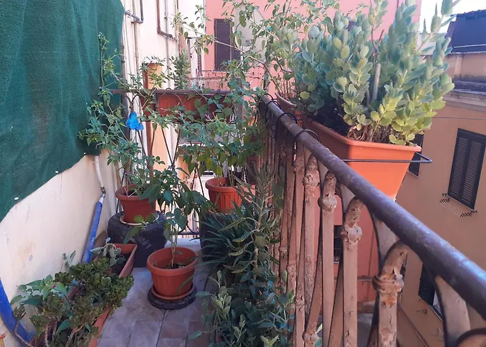 Napoleone Luxury Guest house 4*